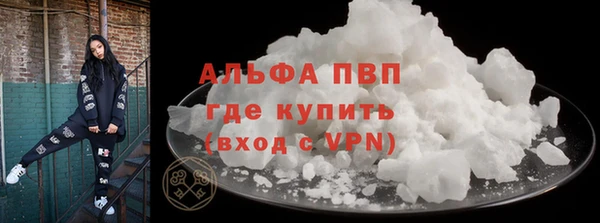spice Богородск