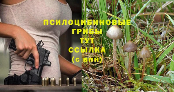 кокаин Богданович