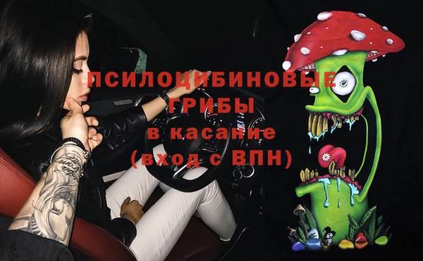 экстази Богородицк