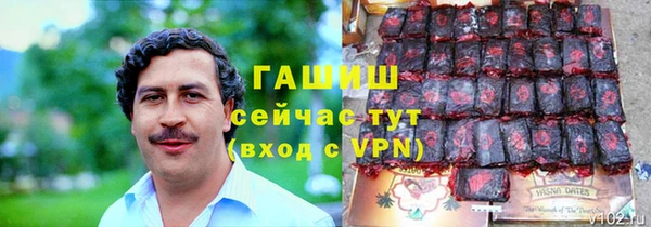 spice Богородск