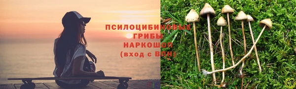 spice Богородск