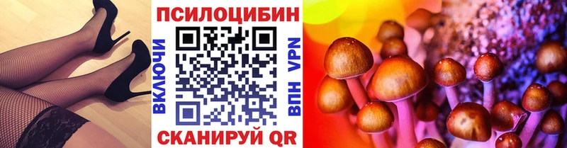 мега как зайти Дмитриев Псилоцибиновые грибы Magic Shrooms купить наркоту